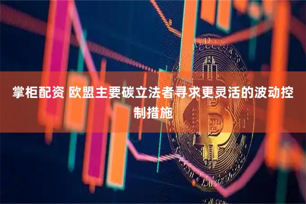 掌柜配资 欧盟主要碳立法者寻求更灵活的波动控制措施