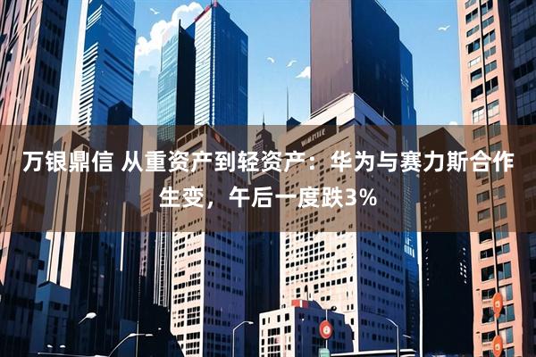 万银鼎信 从重资产到轻资产：华为与赛力斯合作生变，午后一度跌3%